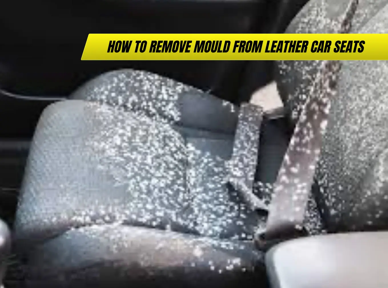 How to Remove Mould from Leather Car Seats – UK Cleaning Guide 2025