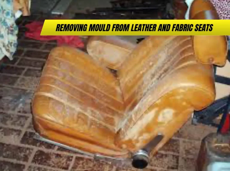 Removing Mould from Leather and Fabric Seats